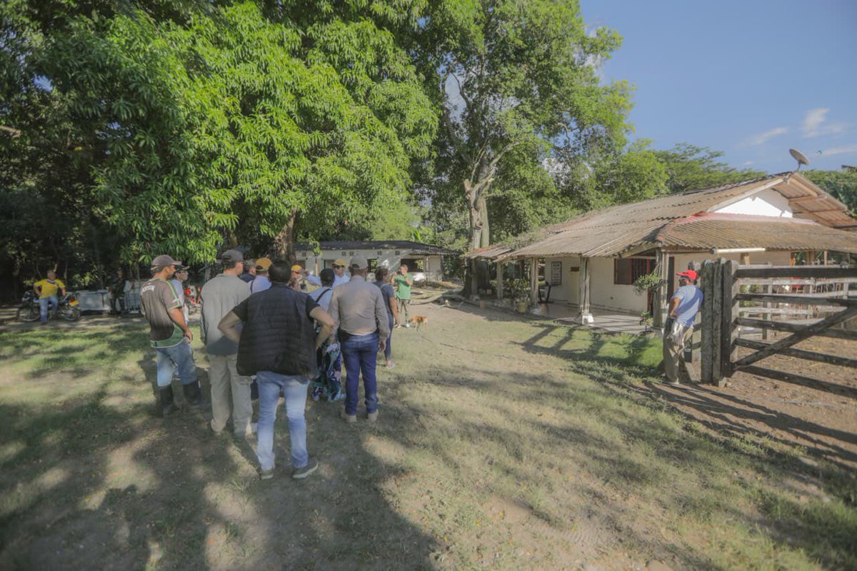SebastianR38101's tweet photo. En La Dorada, Caldas, fueron 712 hectáreas las que pasaron de ser territorio de la ilegalidad, del narcotráfico y centro de operaciones para la droga, a convertirse en tierras campesinas destinadas a la producción y la vida digna. 💚🌾🌱 #ConDignidadCumplimos https://t.co/x5XnrUMV27