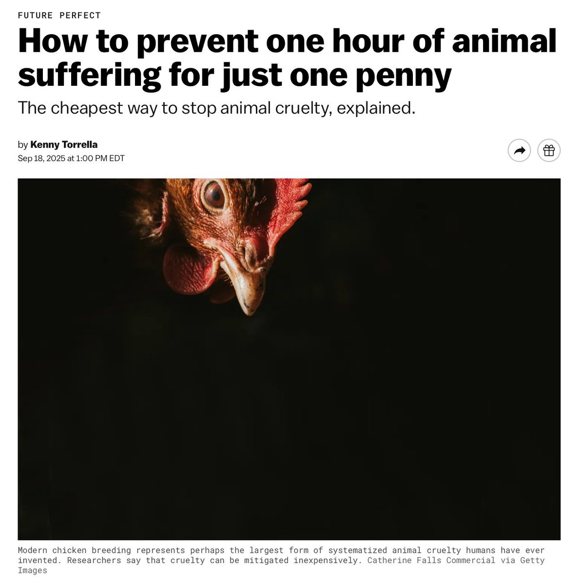 KennyTorrella's tweet image. New from me -- the cheapest way to prevent animal cruelty. Gift link here: vox.com/future-perfect…