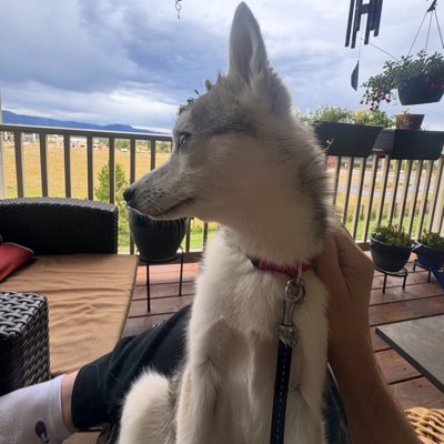 Father to Argos and Tycho tweet media