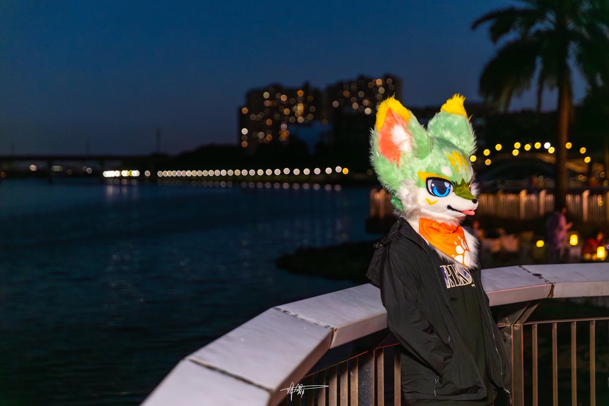 #FursuitFriday

好

📸：<a href="/leafmist7/">所谓叶煙</a>
后期：<a href="/FOX_MuSheng/">沐晟</a>