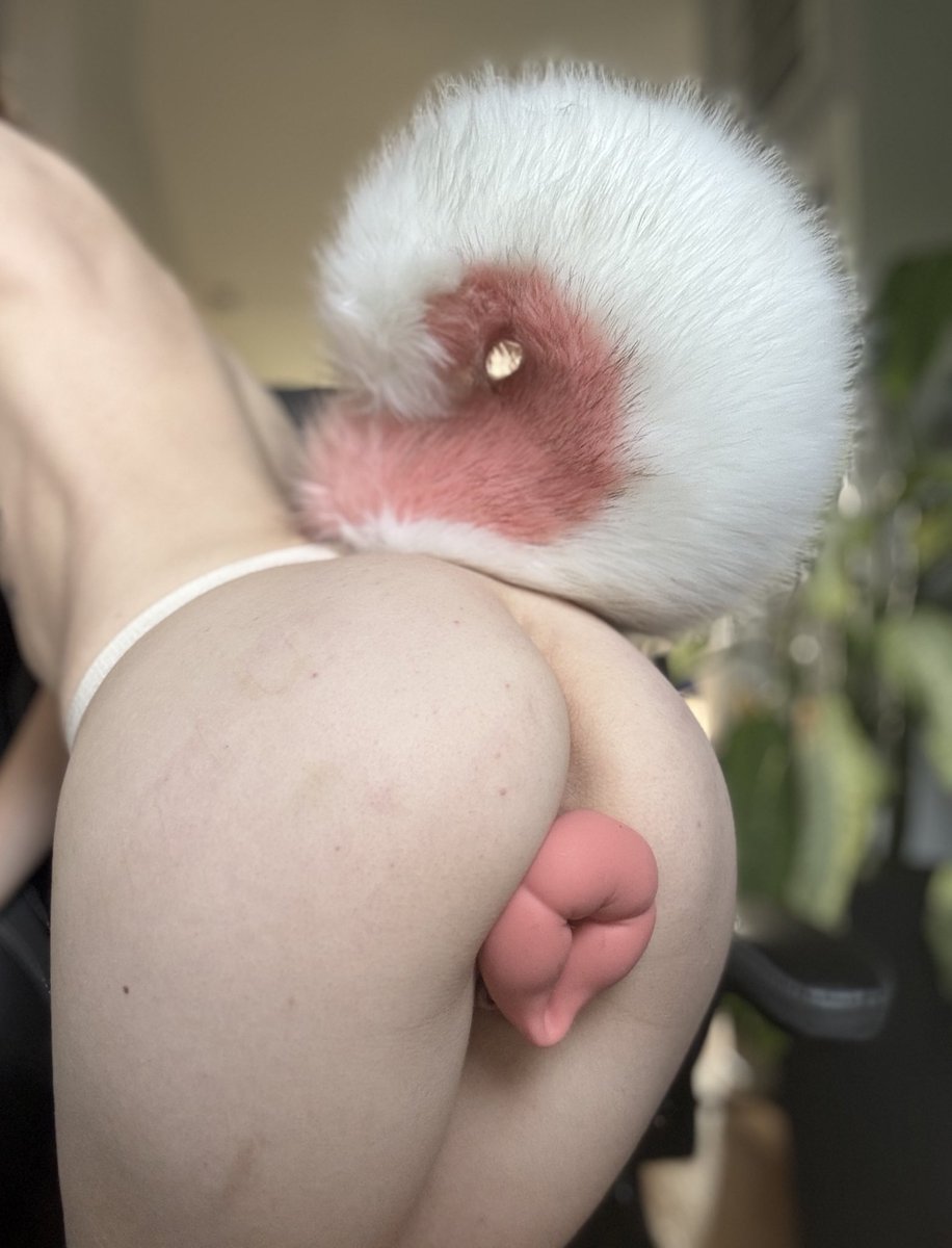 apollo 𓃦θΔ 🔆 full time puppy! tweet media