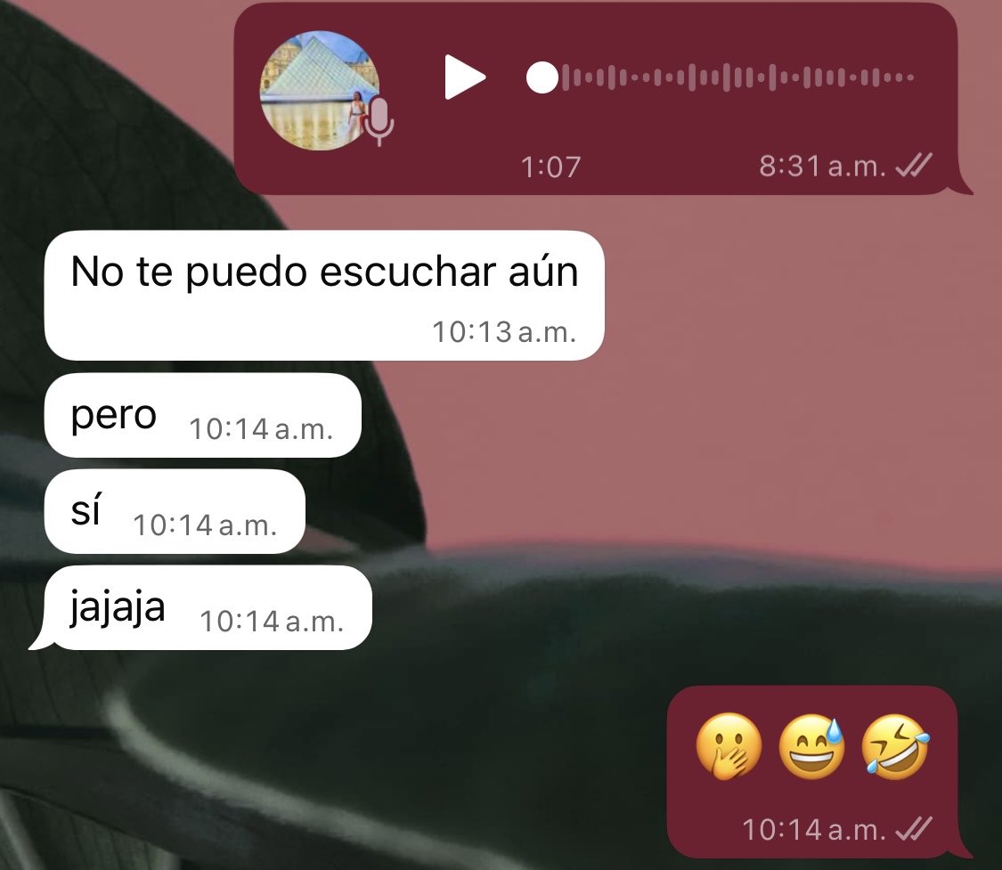 Soñé que me iba a Argentina y luego llegó este mensaje… 

😜 🇦🇷