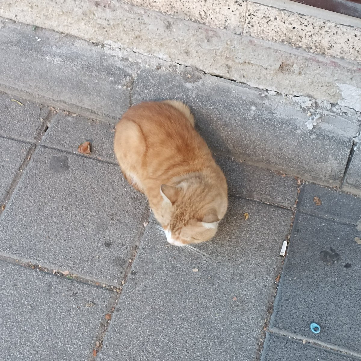 yuzume bile bakmiyor...