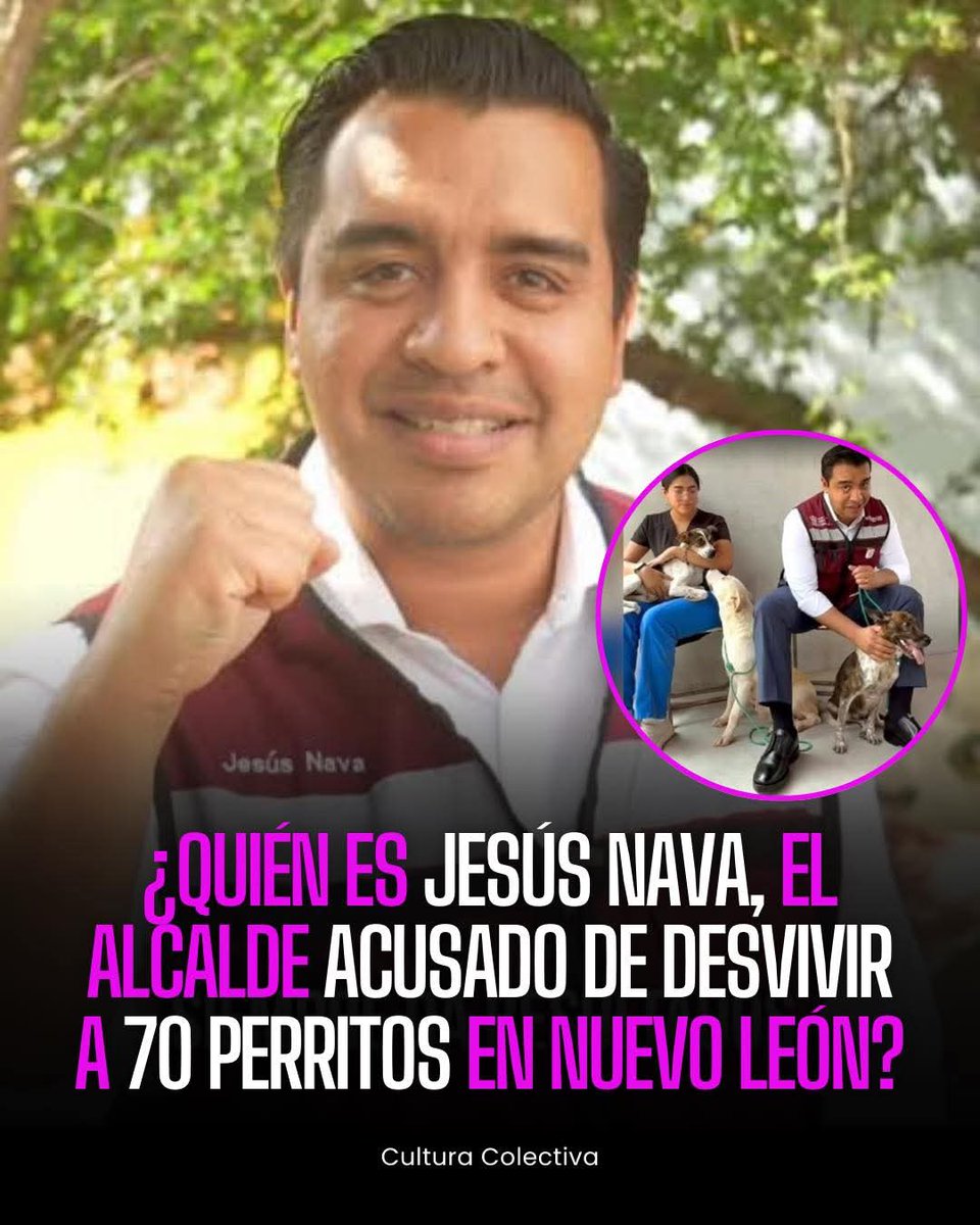 PSICÓPATA ‼️😡

En campaña los RESCATÓ,  ya como alcalde los DESVIVIÓ. 

70 animalitos no libraron la falta de alimento.
#ExPanistaChapulín
#PurgaEnMorenaYa