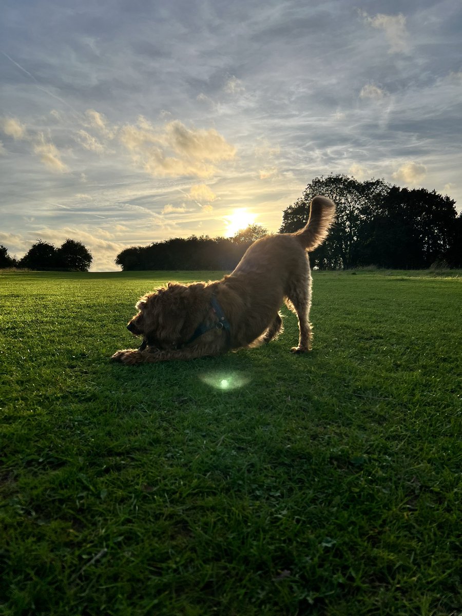 Peter Hearn Isn’t Here Anymore tweet media