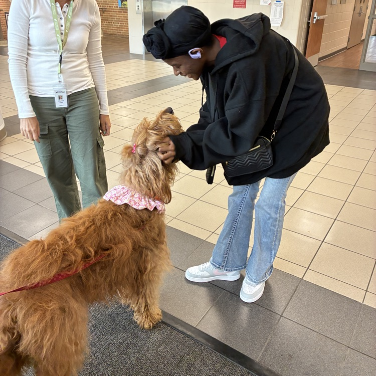 John Marshall High School tweet media