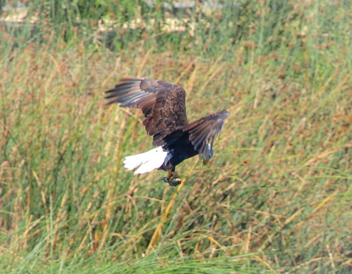 Ted Fletcher tweet media