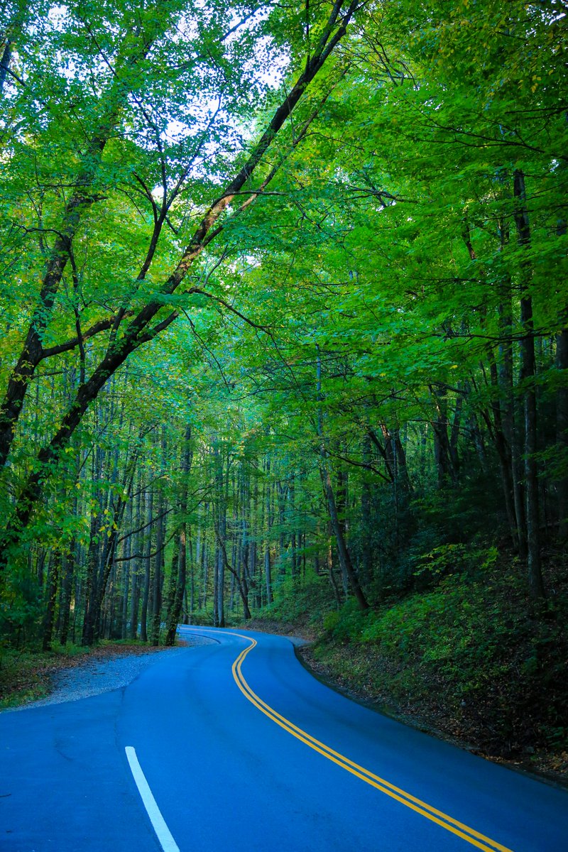 Ted Fletcher tweet media