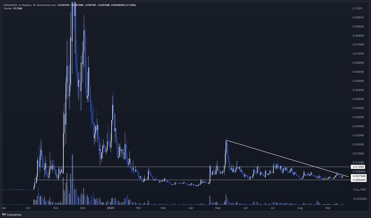 BONGO or HPJALtLtydXym5Tbv6udQCKcXSihnz3B7aD3PNMNbonk)