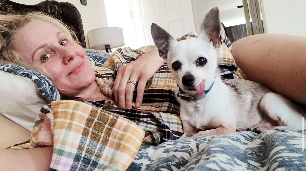 Don't kid yourself, he doesn't care that I feel sick. He's a selfish chihuahua that is taking advantage of body heat lol.😝🥰💕#Chihuahua #chihuahualife