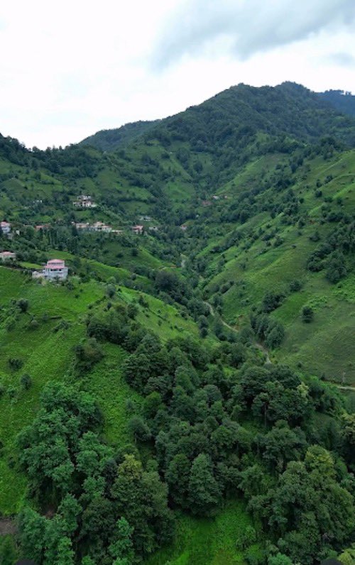 OkuneOrg's tweet image. #Maiskiopte, #Hopa'nın 15 km kuzeydoğusunda, #Makriyal yakınlarında kurulu bir köydür. Sözkökeni, özellikle 16. yüzyıl boyunca aynı çevrede etkin olmuş #Laz feodallerden Manelskir ailesinin ismine… &amp;gt;&amp;gt; tr.okune.org/wiki/index.php…