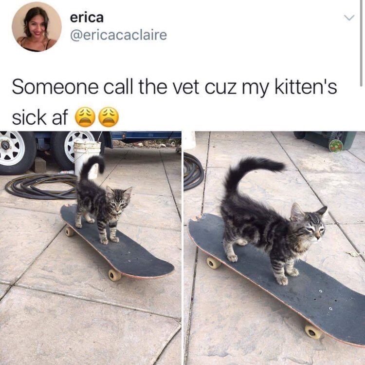 WholesomeMemes tweet media