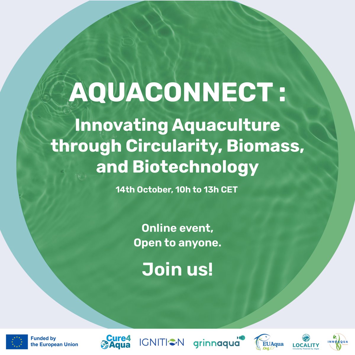 grinnaqua_eu's tweet image. 📣 Coming soon: AQUACONNECT: Innovation in Aquaculture
🗓 Oct 14, 10:00–13:00 CET 
📍 Online

Explore #EUproject insights on #aquaculture circularity, biomass, breeding &amp;amp; disease diagnostics.

@IGNITION__EU @EUAqua_Org @Cure4Aqua_EU @INNOAQUAproject #LocalityAlgae