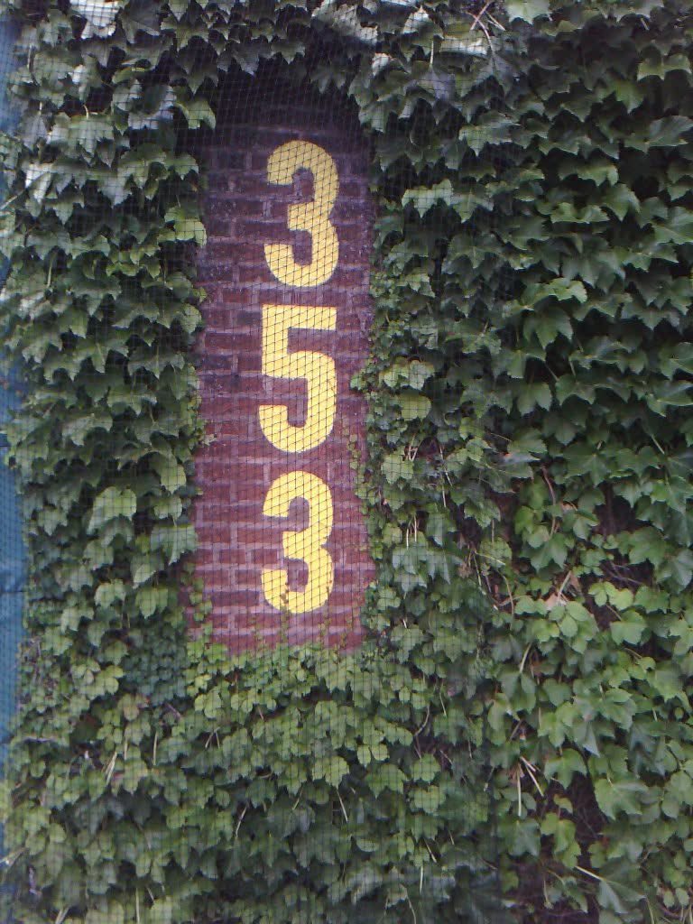 Sorry, R+L≠J. N+A=J 🗡🐺💫 tweet media