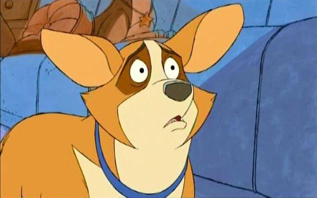 CorgiLighting__'s tweet image. #NewProfilePic