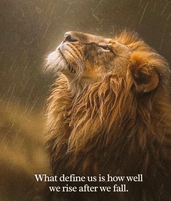 Faran_Champion's tweet image. ↔️Today Report

⏹️Daily=602 pips

🟢Monthly =5914 pips

⏺️Yearly(from May) =20826 pips

Much thnkx Dealers 😎💯
FC. 

#USDJPY  #EURUSD #PIPSDONE 
#GOLD #XAUUSD #Trump #Finance