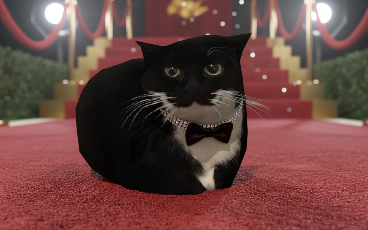 $SPINCAT on SOL (@maxwellspincat) on Twitter photo 