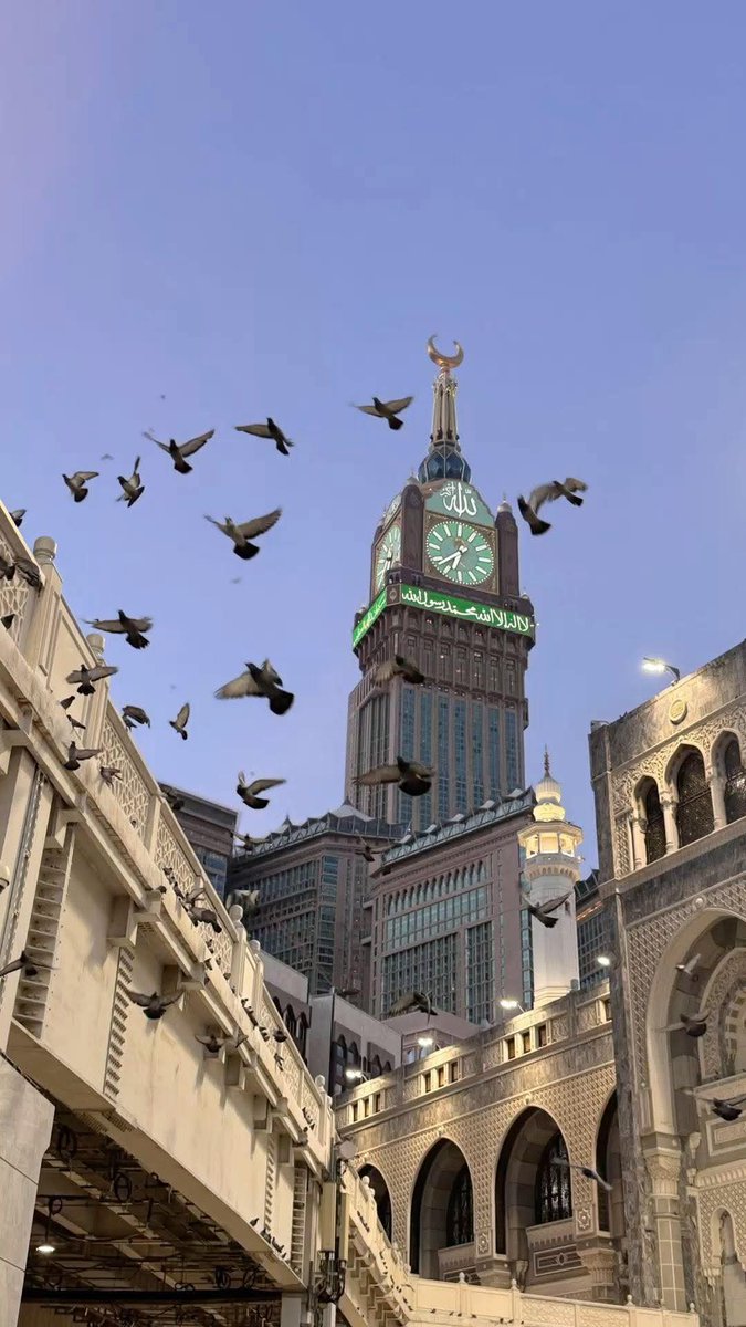 سبحان الله، والحمد لله، ولا إله إلّا الله، والله أكبر، ولله الحمد، وأستغفر الله عدد خلقك، ورضى نفسك، وزنة عرشك، ومداد كلماتك، اللهم اغفر للمسلمين جميعا الأحياء منهم والأموات وأدخلهم جناتك، وأعزّهم من عذابك، ولك الحمد، وصلى اللهم على أشرف الخلق سيد المرسلين محمد صلى الله عليه سلم