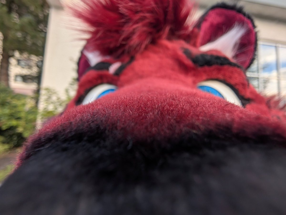 Sayorim (@sayo_flufftiger) on Twitter photo You got games on your phone? :3 You got games on your phone? :3