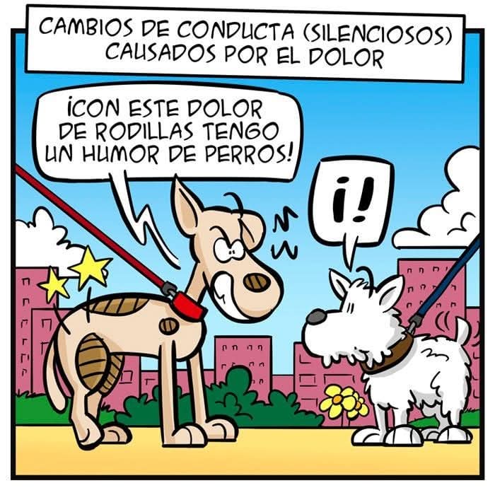 Algunos cambios repentinos de comportamiento en los perros pueden deberse al dolor. 
📌 Os recomendamos consultar a un veterinario para obtener un diagnóstico adecuado y plan de tratamiento. 🏥🐶

Fuente: Desconocido. 

#LealCan #perros #perrosydolor #dolorenperros #estrescanino