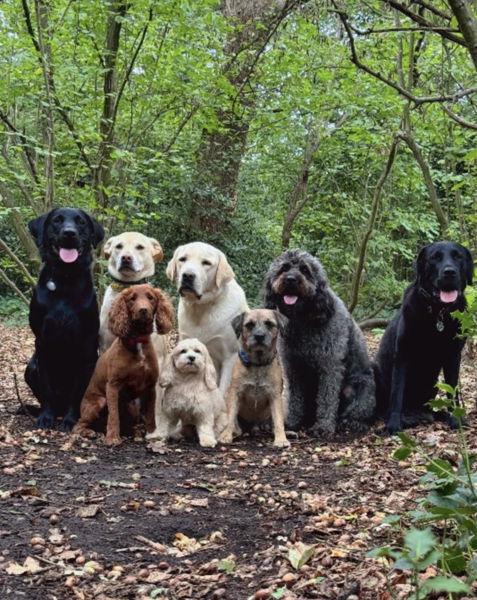 Still leading the pack! 👑🐶 #BTPosse