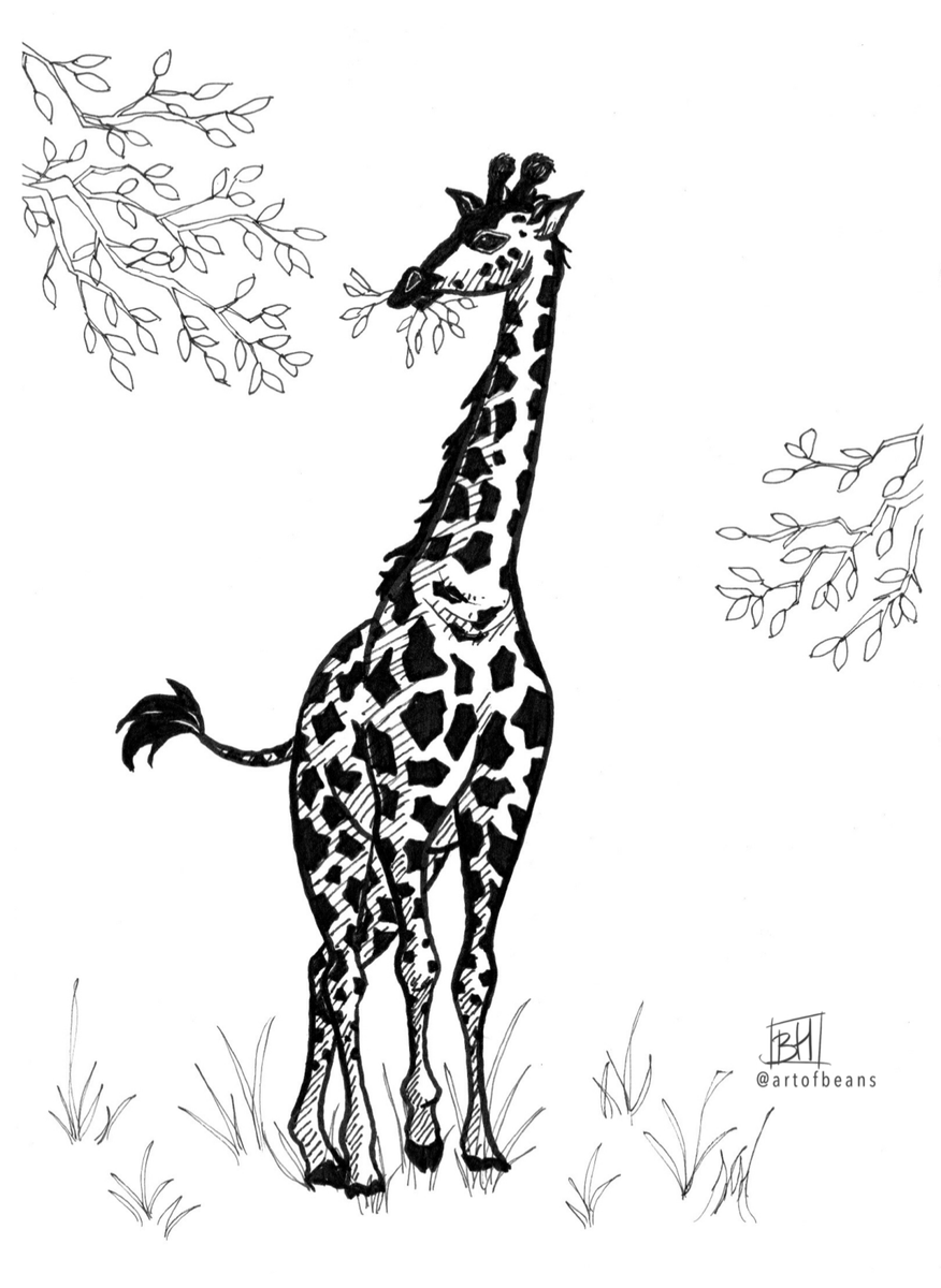 artofbeans's tweet photo. Decided to round off my South African animals series from way back. You can’t have an African animal set without our favorite freaky-necked friend.

#wildlifeart #animalart #giraffe #ungulate #traditionalart #southafrica #sketchbook #ink #yegart #yegartist https://t.co/PnQntpgnmq