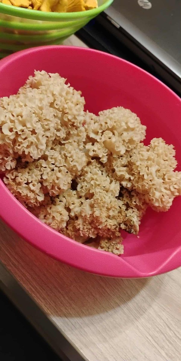 Szybki wypad do lasu i są.