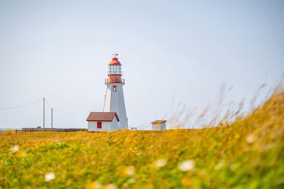 Ordinary isn’t allowed here—coastlines, lighthouses, and seasons that inspire. #vikingtrail #explorenl #travel