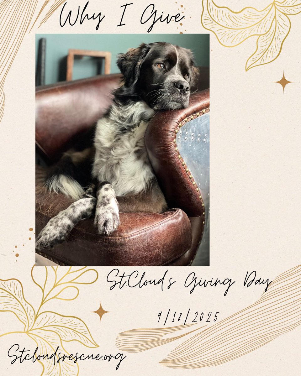 stcloudsrescue's tweet photo. Our beautiful alum benefitted from our Giving Day! https://t.co/m2MFX9amvu