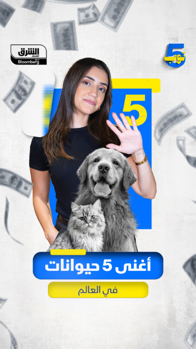 كلب يملك نصف مليار دولار وقطة تدخل موسوعة غينيس.. تعرّف في "توب 5" على أغنى حيوانات أليفة في العالم. تابعوا اقتصاد الشرق للمزيد كلب يملك نصف مليار دولار وقطة تدخل موسوعة غينيس.. تعرّف في "توب 5" على أغنى حيوانات أليفة في العالم. تابعوا اقتصاد الشرق للمزيد