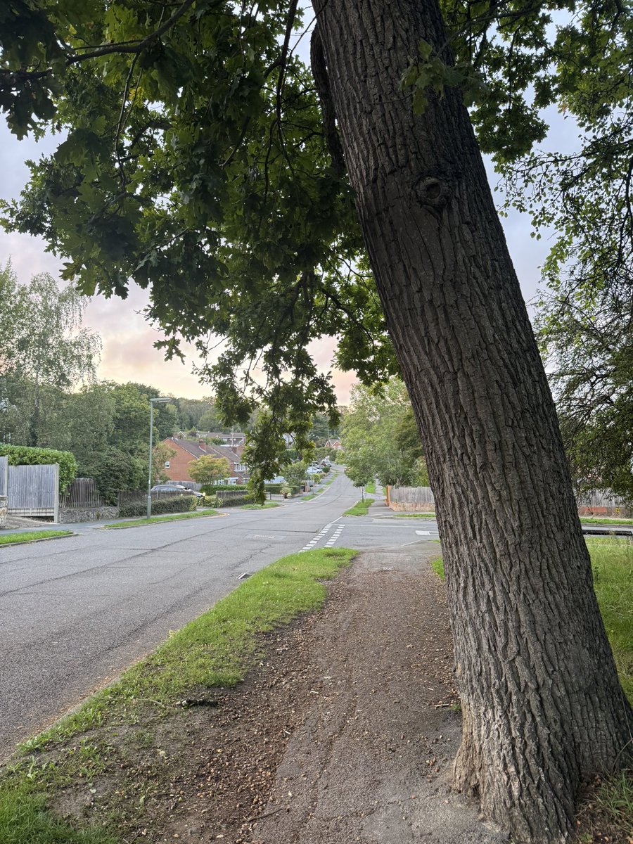 Akşam yürüyüşü