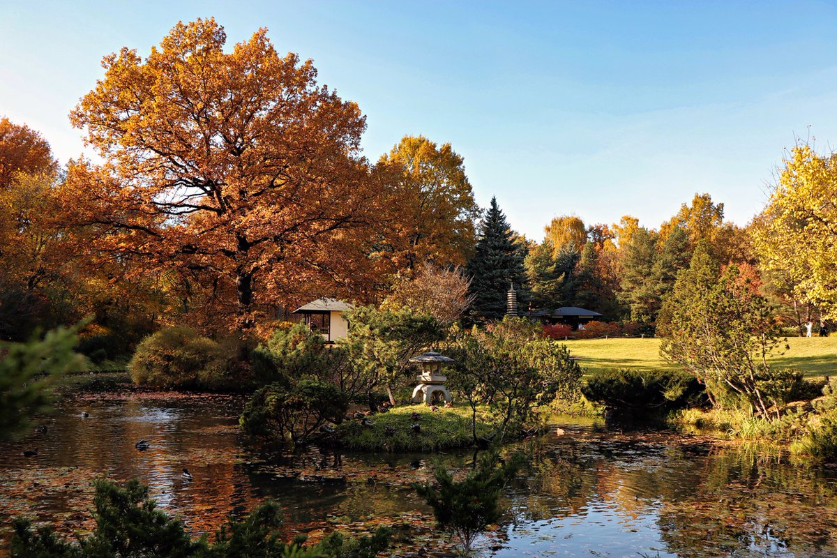 PEKHTography's tweet image. This garden whispers ancient secrets: &quot;The art of doing nothing is actually doing everything&quot; 🌸 Confucius would totally get it 💭 #AncientSecrets
#autumn #garden #japanese #pond #foliage #tranquil #golden #reflection #nature #peaceful #zen #beauty