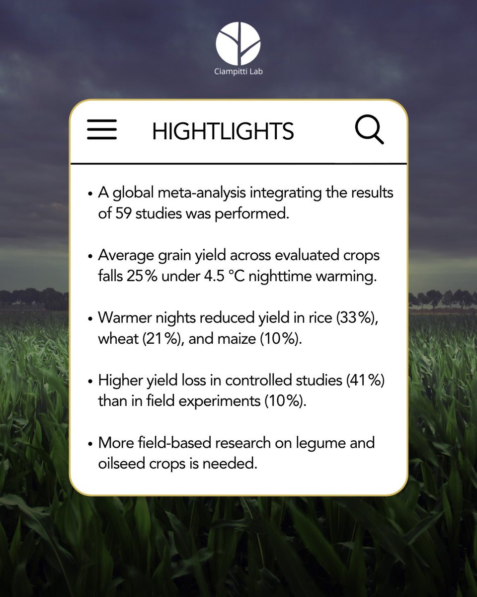 Ciampitti Lab tweet media