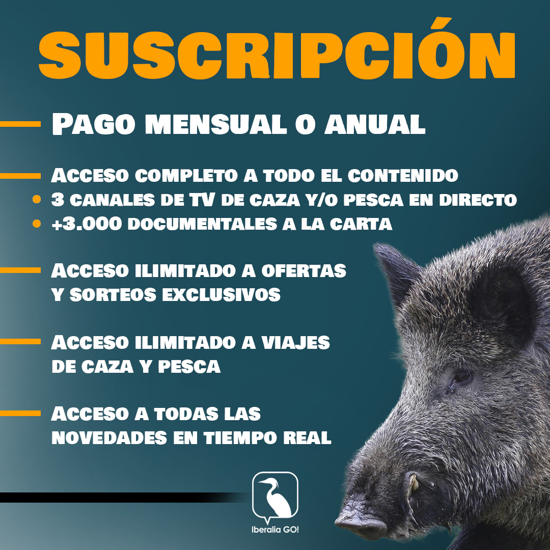 🔎 ¿Sabes la diferencia entre estar REGISTRADO y ser SUSCRIPTOR de Iberalia GO!?🤔

¡Aquí te lo aclaramos! 👇

👉 Regístrate gratis o da el paso a la suscripción y vive Iberalia GO! sin límites📲 app.iberaliago.com

#iberaliago #caza #pesca #cazadores #pescadores