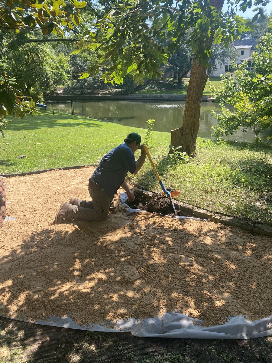 Victory_Turf's tweet image. Prepping for sod and we found these grubs today we’ll treat with Dylox prior to install. Also knocking out some irrigation repair with about as good of a view you can get for Dallas standards.