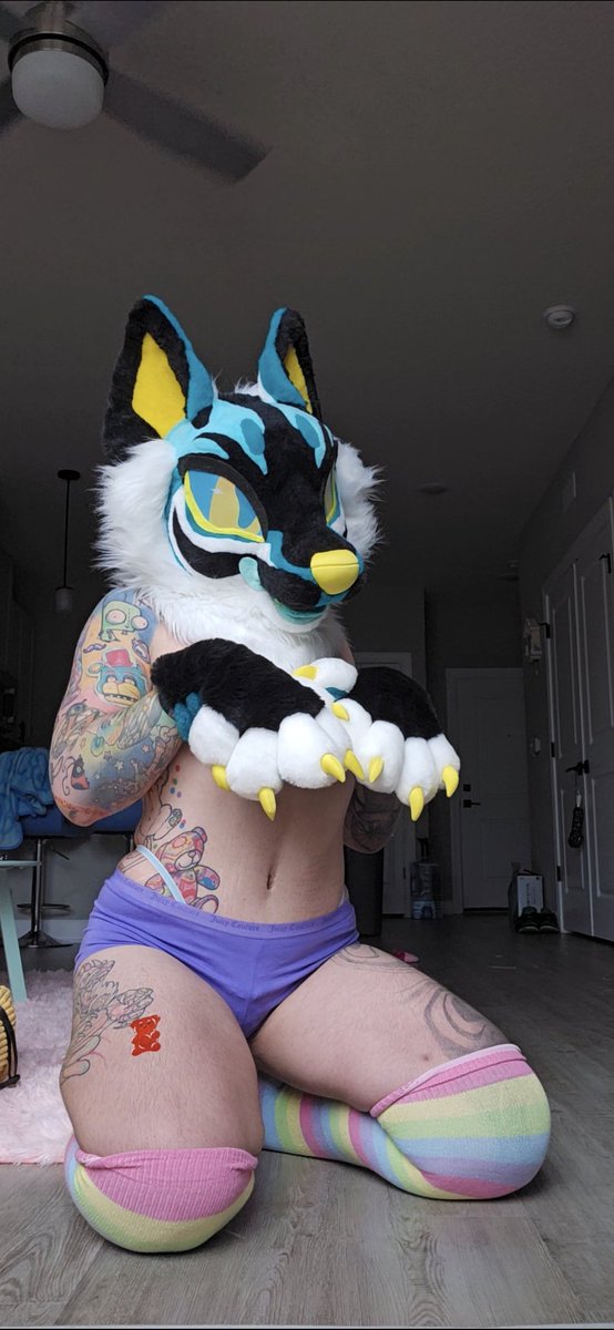 azztrixx's tweet photo. Puppy is ready to play 💙

#furry #furrynsfw #nsfw #furrynsfw #furrynsfwpost #nsfwfur #mursuitmonday #mursuit #mursuiter #trans #lgbt #lgbtnsfw #transnsfw #transgender #ftmtransgender #ftm #furrypride #mursuitwarning https://t.co/YhN40c6msZ
