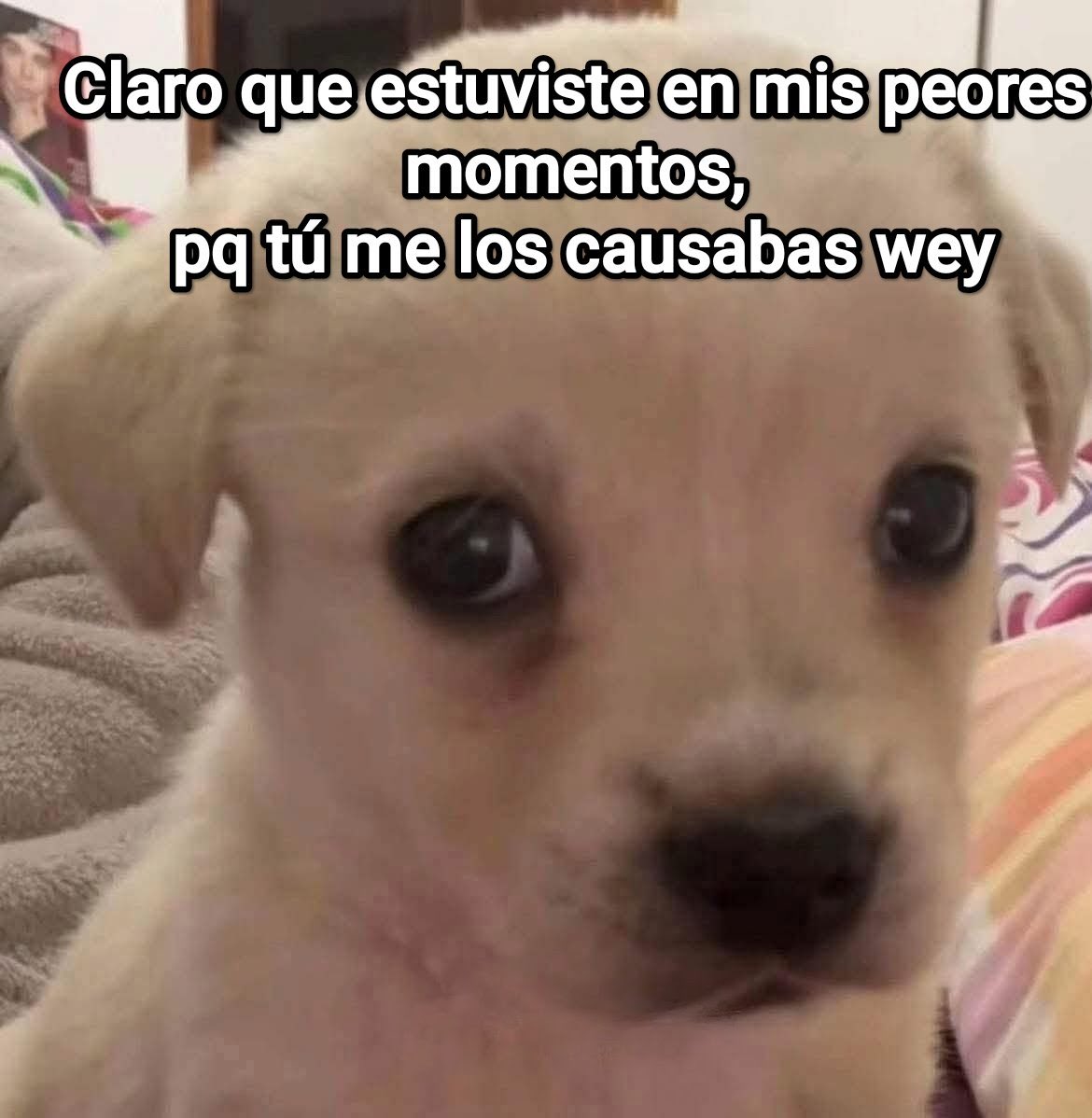 Ajajajaja cualquier parecido con la realidad es pura y mera coincidencia…