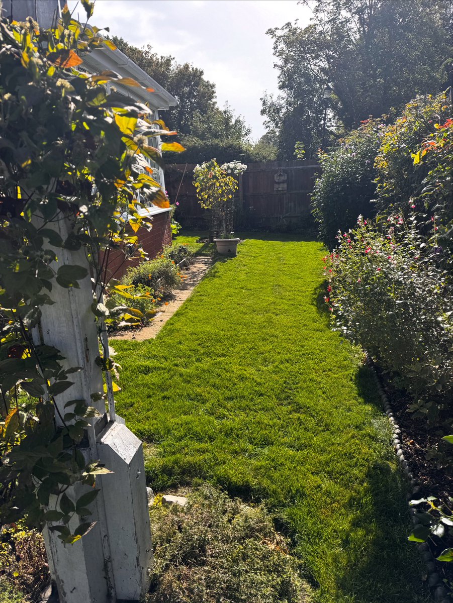 DH_Maintenance's tweet image. Then before an #afternoon of getting some #picketfence up - pics when complete - it was #topping this #beauty again 👍 Have a great evening everyone ❤️