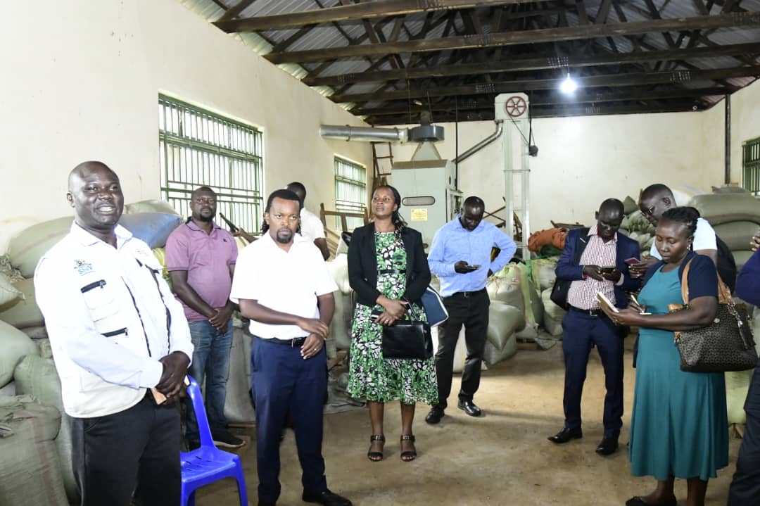 Today, members of the Uganda Climate Smart Agriculture Multistakeholder Platform monitored climate smart agriculture initiatives in the soybean &amp; tomatoe value chains at <a href="/MUARIK1/">Makerere University Agricultural Research</a> &amp; #DaniAgro during their on-going annual event supported by <a href="/CGIARAfrica/">AICCRA</a>