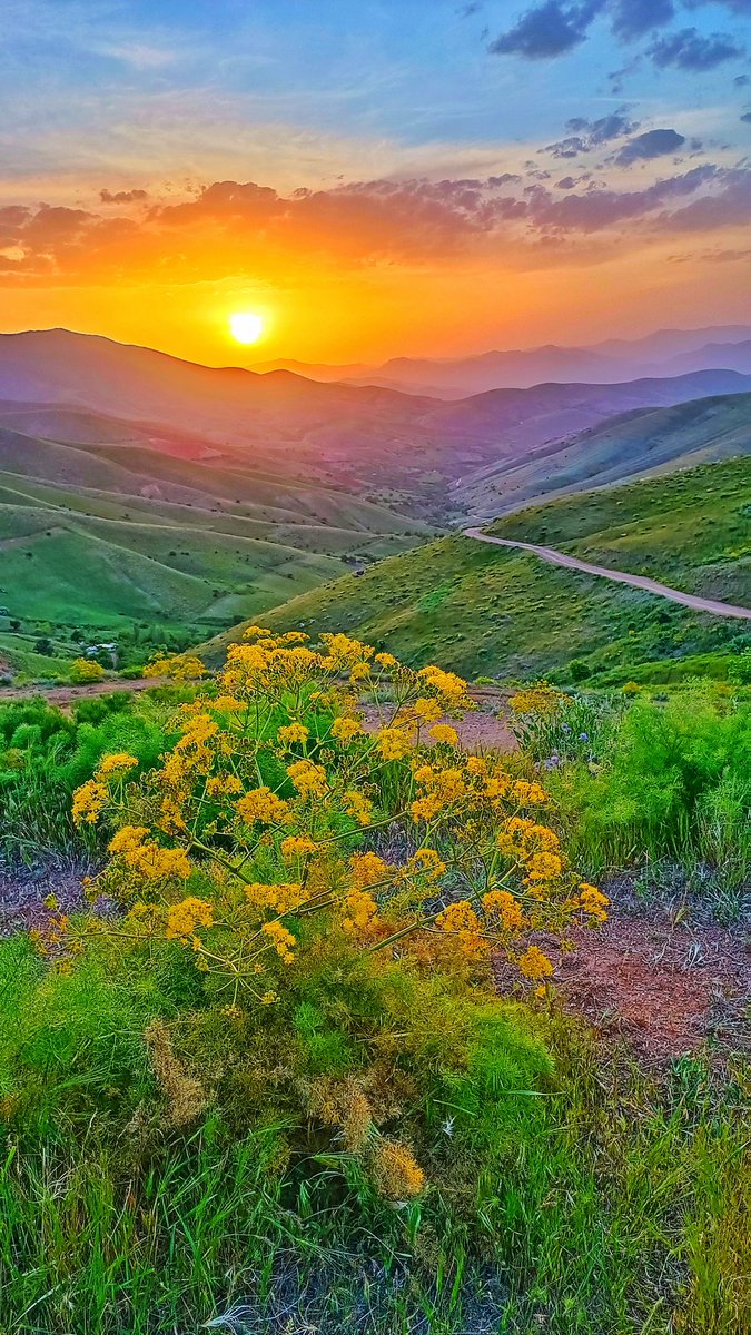 Ali21085405's tweet photo. @DesignResource_ Sunset
 Beautiful sunset
  2 / 3 edition    15 tezos    
#photography    #Art  #Tezos
👀 Please visit my account at objkt
Link:
https://t.co/EsHsrIErbY https://t.co/pSkPLWZCi9