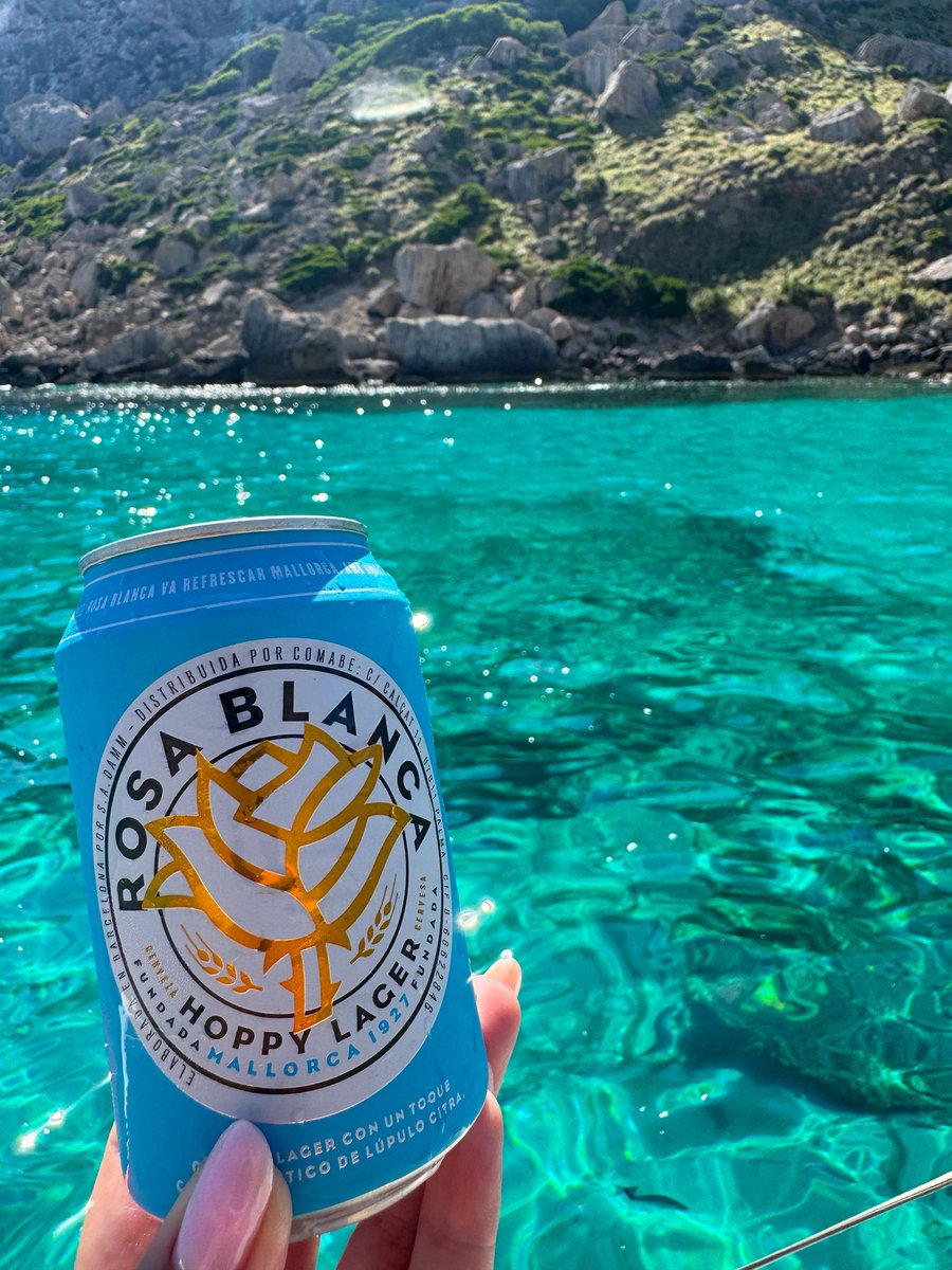 AleTypiara tweet media