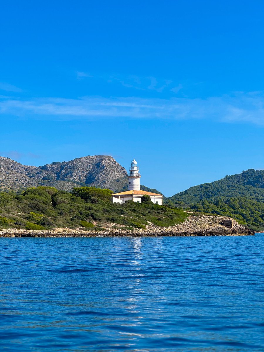 AleTypiara tweet media