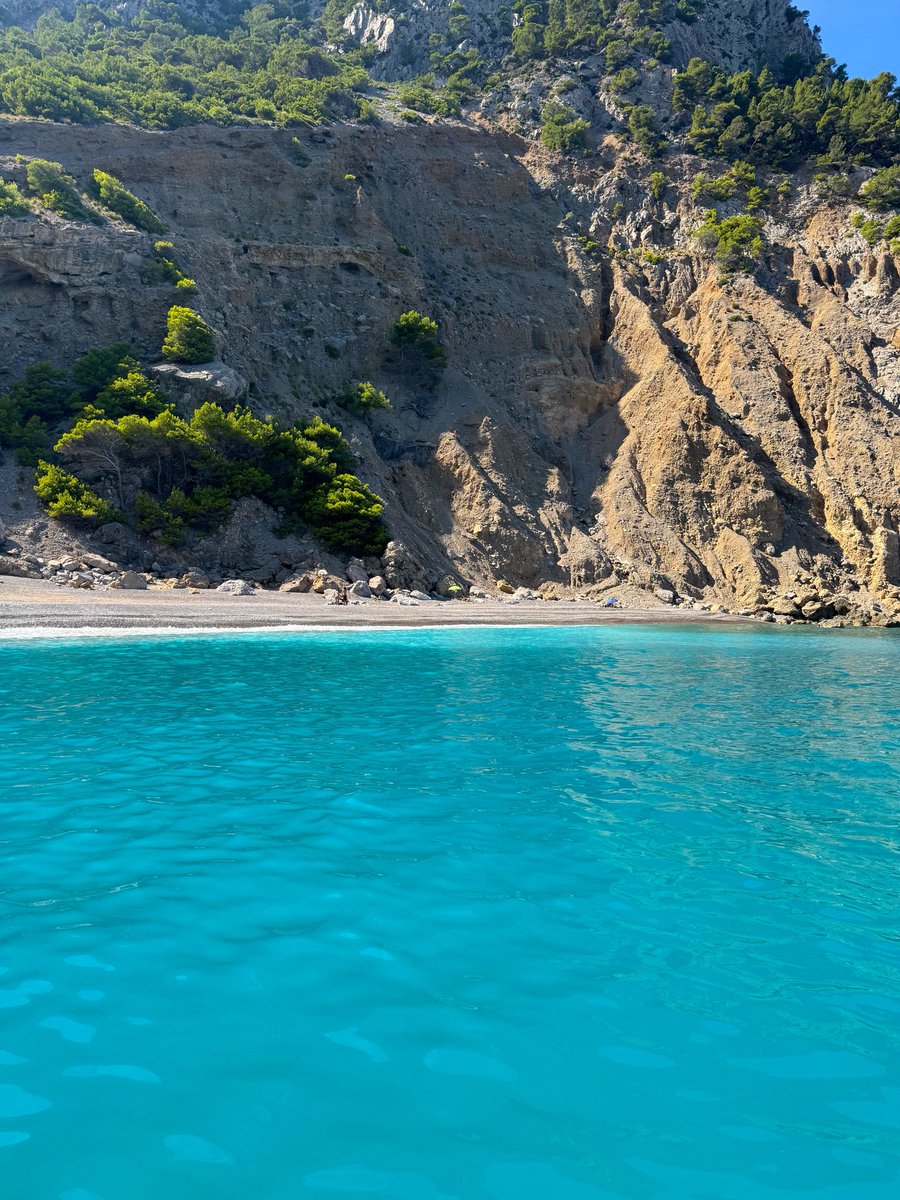 AleTypiara tweet media