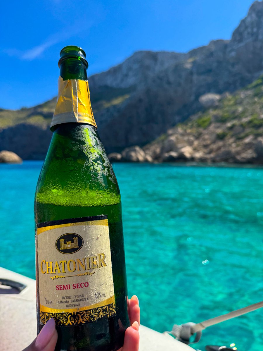 AleTypiara tweet media