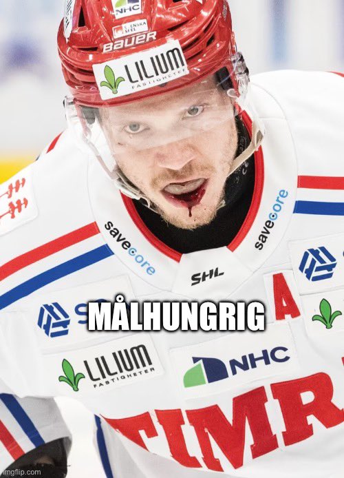 timraikmemes's tweet photo. ”Looks like meat’s back on the menu Boyce” #timrå #didde #shl https://t.co/PYurwvCRm6