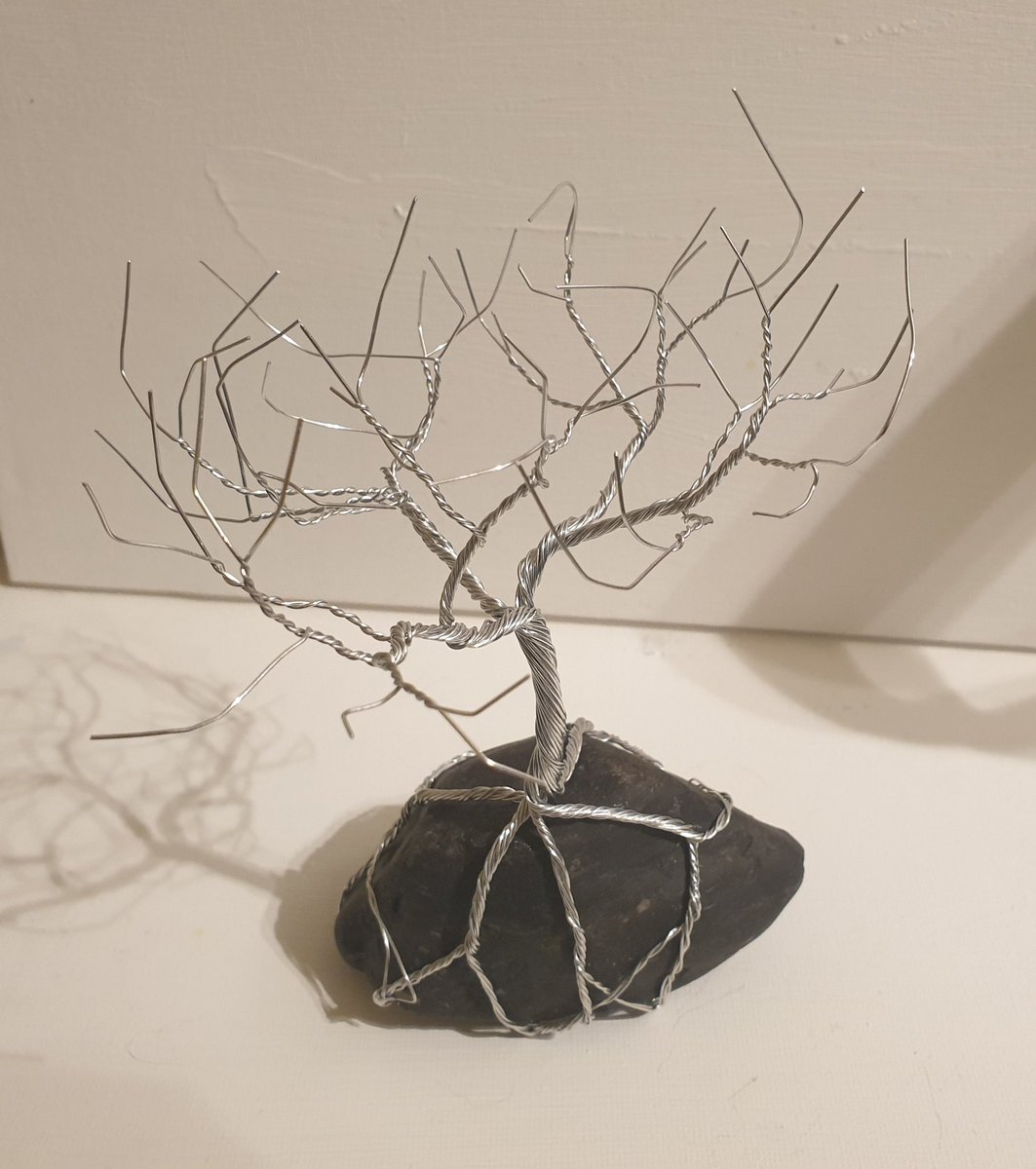 Liberator_hen's tweet image. Made a couple more trees.
#art
#wireart
#trees
.@MerylinmoonUK
