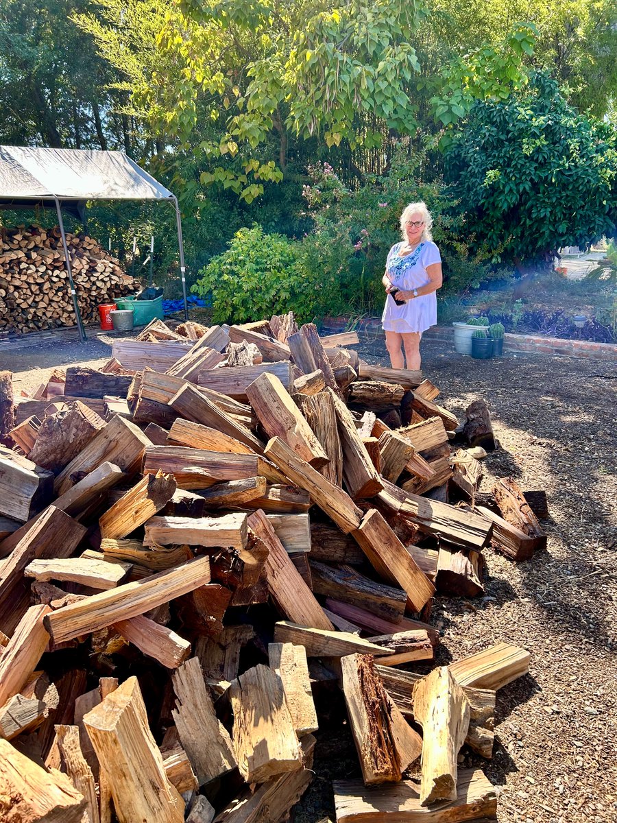 TwinCities_Tree's tweet image. As winter approaches, many seniors rely on firewood to stay warm. ❄️🔥
At Twin Cities Tree Service, we’re proud to provide seasoned, local wood to support our seniors &amp;amp; community. 🌳💚
Let’s stay warm together this winter!

#TwinCitiesTreeService #Firewood #CommunityFirst