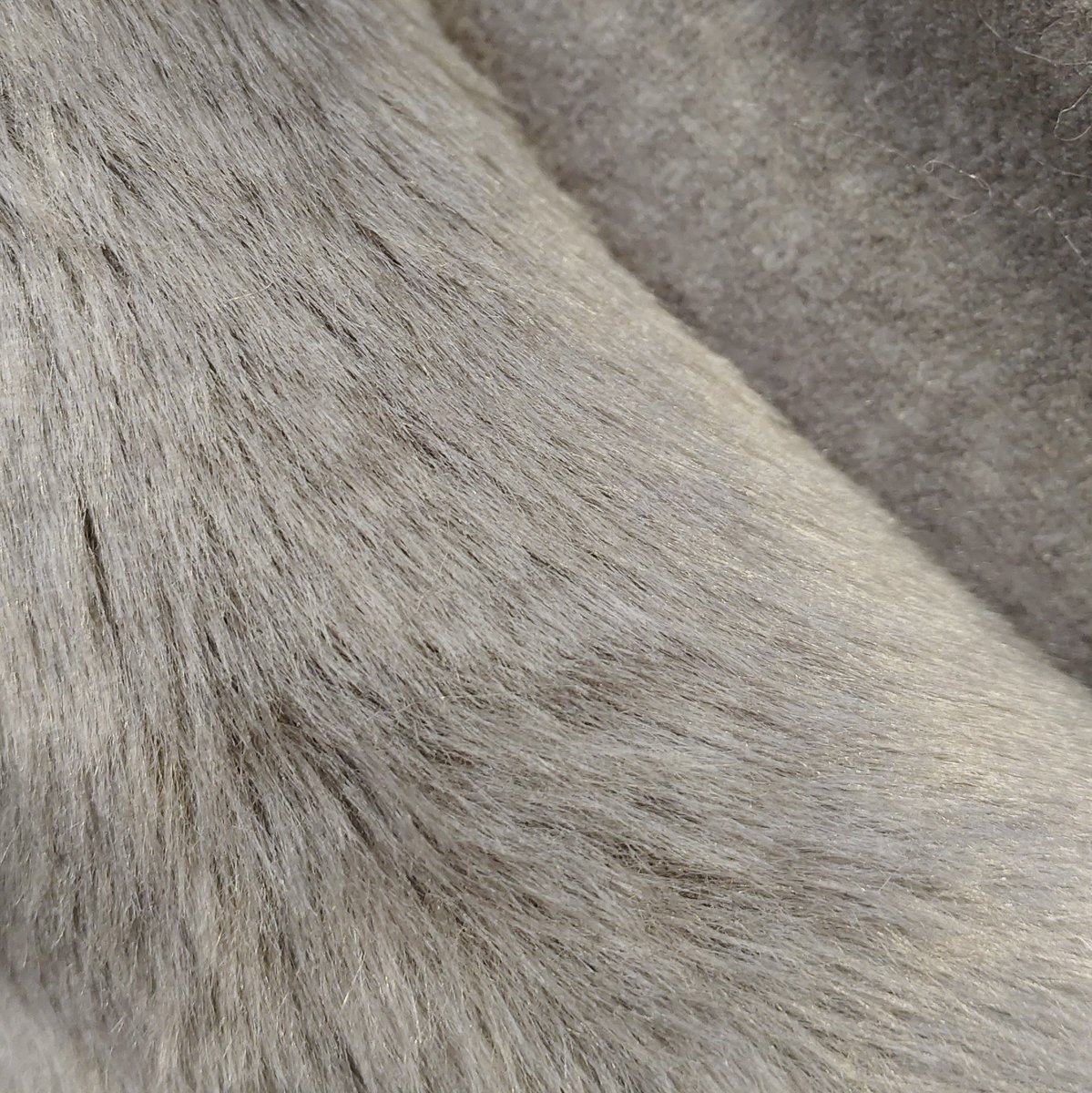 Gummy Shark Fabrics tweet media