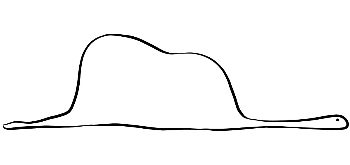 —Les voy a mostrar un dibujito, al que accedí gracias a una alta fuente de economía... (?)