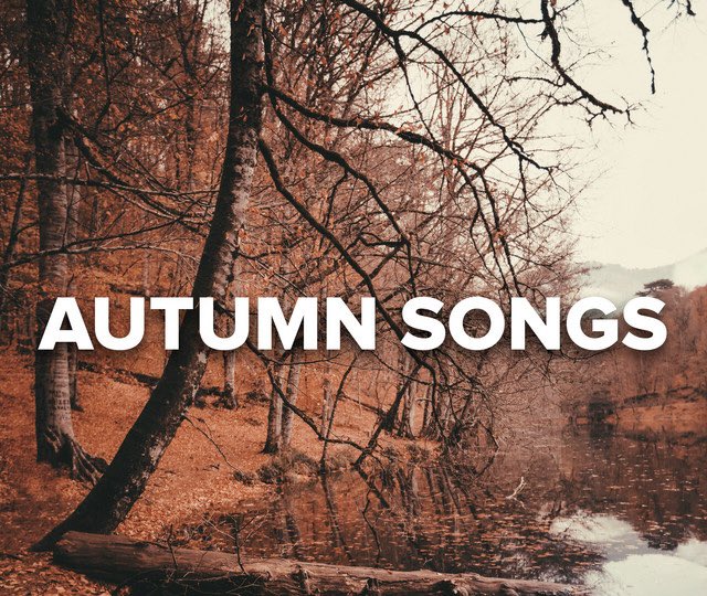 On air from 8pm with your great song ideas and much more! <a href="/blackcatradio/">Black Cat Radio</a>